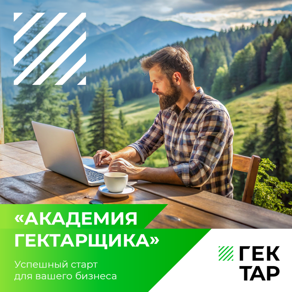 Иллюстрация к кейсу Гектар от Double SMM 21