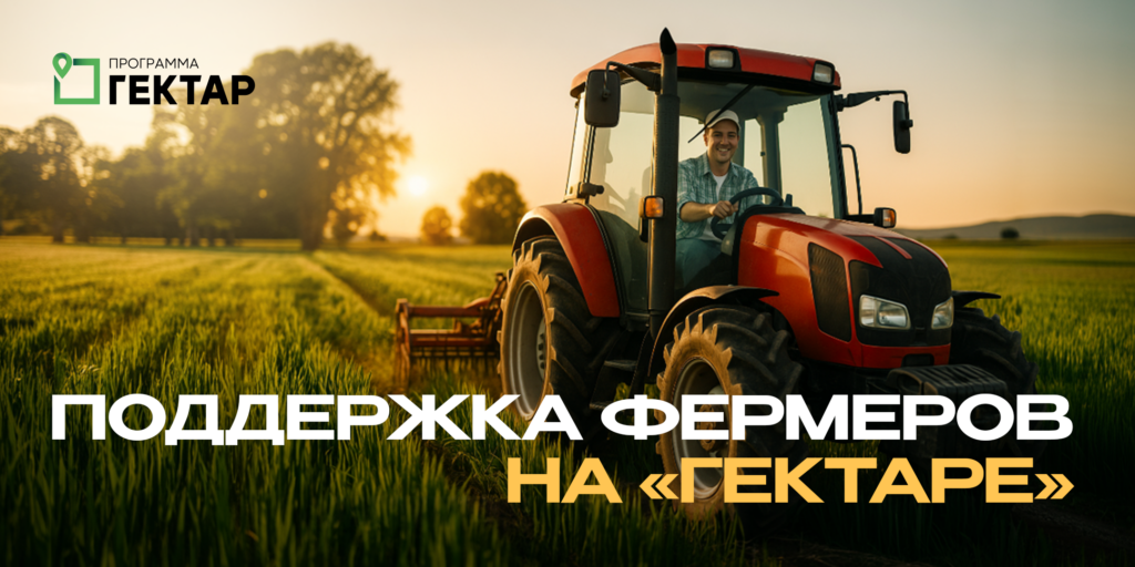 Иллюстрация к кейсу Гектар от Double SMM 26