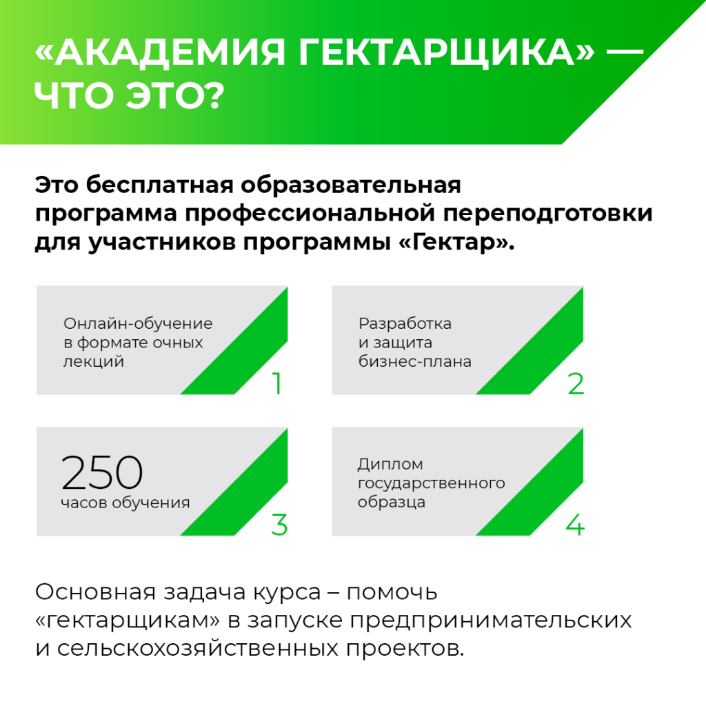Иллюстрация к кейсу Гектар от Double SMM 22