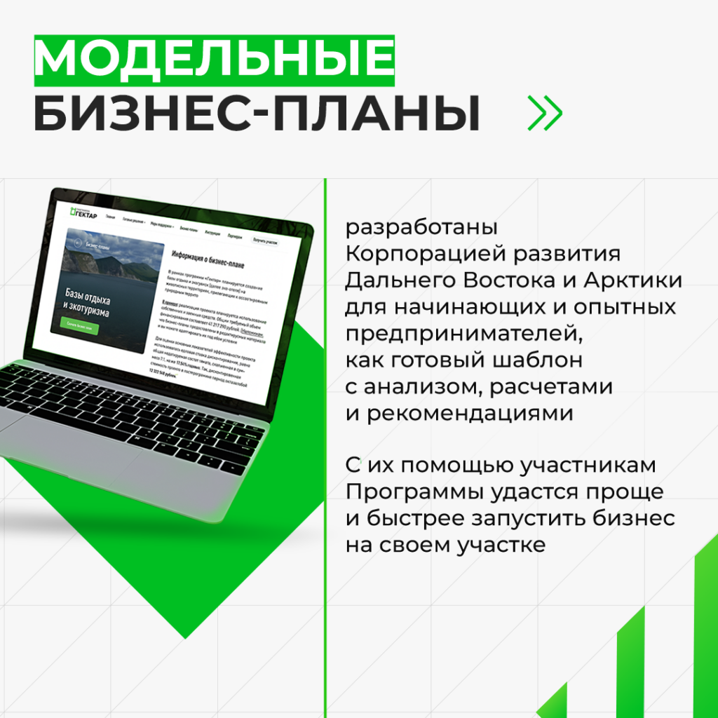 Иллюстрация к кейсу Гектар от Double SMM 20