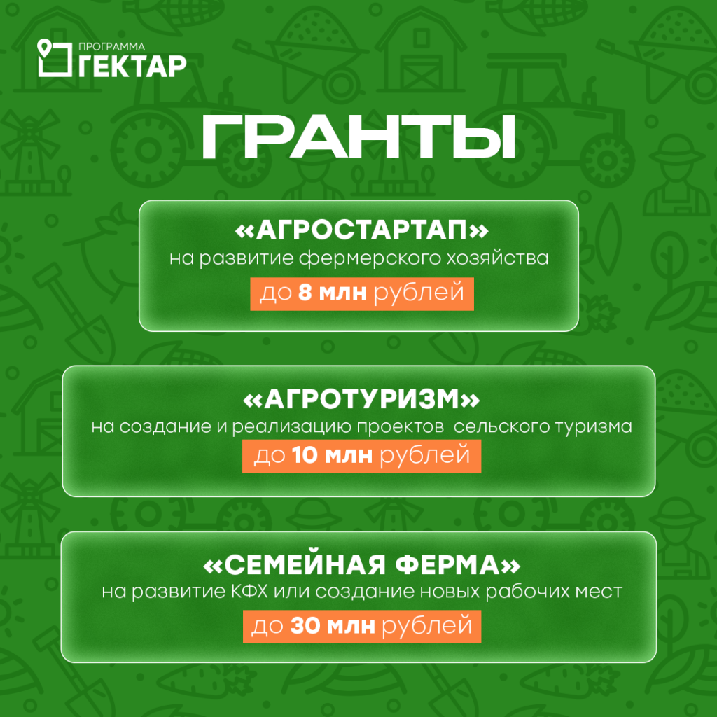 Иллюстрация к кейсу Гектар от Double SMM 28