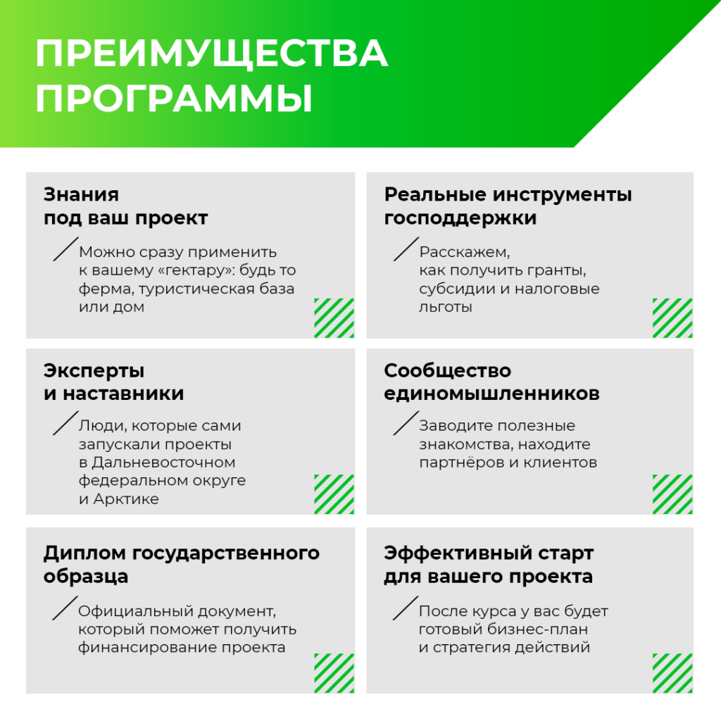 Иллюстрация к кейсу Гектар от Double SMM 23