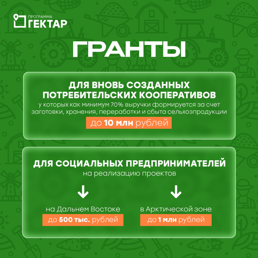 Иллюстрация к кейсу Гектар от Double SMM 29