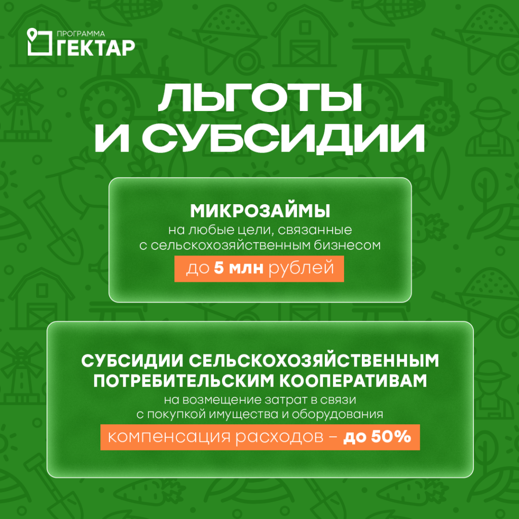 Иллюстрация к кейсу Гектар от Double SMM 30