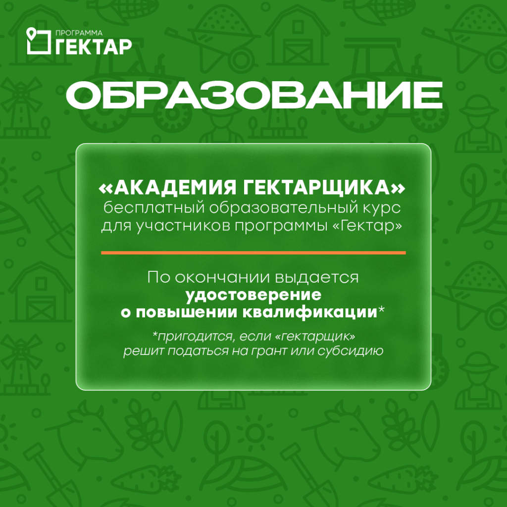 Иллюстрация к кейсу Гектар от Double SMM 31