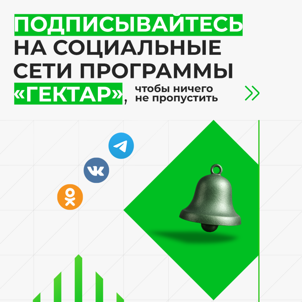 Иллюстрация к кейсу Гектар от Double SMM 13