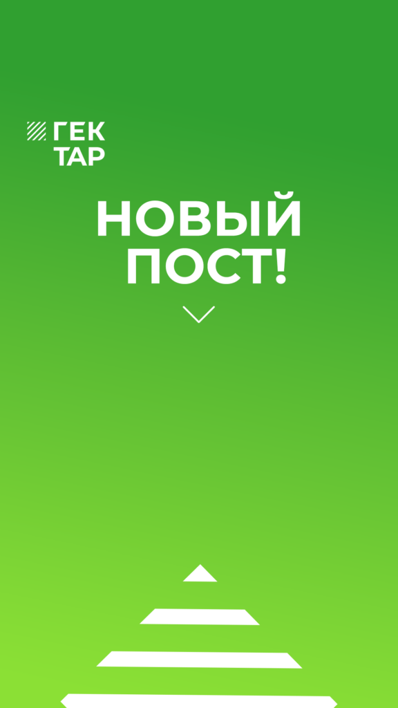 Иллюстрация к кейсу Гектар от Double SMM 12